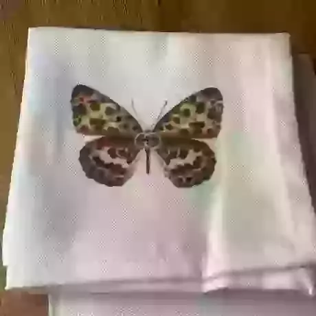 Butterfly  Napkins set off 4 